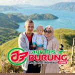 Acong Medan Siap Isi Semua Kandang AL-777 BF dengan Materi Pilihan Terbaik WAT BF, Sambil Tunggu Antrian K-WAT Slipknot Booking K-WAT J-Lo & K-WAT JFK