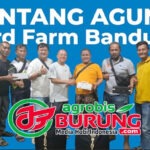 Manfaatkan Waktu Luang Jelang LPI #4 HUT P3SI Cup Cirebon, RM Team Pamekasan Kunjungi Markas Bintang Agung BF Bandung & Borong Trah Gladiator-Singo Barong