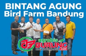 H. Yazid & RM Team Pamekasan didampingi Defri Eyaka kunjungi markas Bintang Agung BF Bandung.