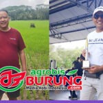 Tak Ingin Kepalang Tanggung, H. Muhaimin Jebol K-WAT Sapu Jagad dengan Mahar Fantastis & Booking K-WAT Revolusi untuk Melengkapi Formasi Ideal Raja-Ratu WAT di Markas HAL BF Bangkalan
