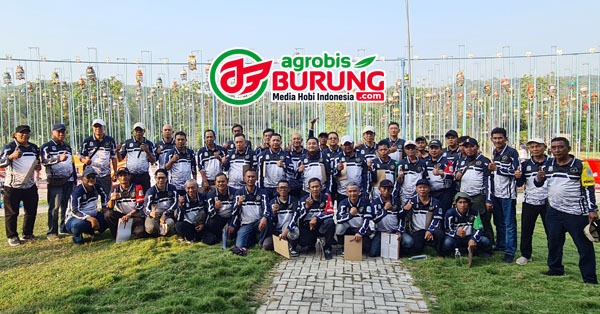JURI PANITIA