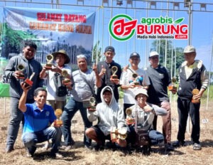 Juara p