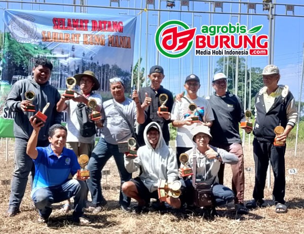 Juara p