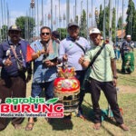 Orbitnya Jawara Rasa Sayang (Legowo) Milik Agus TP Menjadi Kebangkitan Terminal Perkutut Team Surabaya