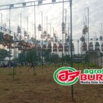 Data Juara Ladini Spesial “Pra LPI #4 HUT P3SI Cirebon”, di Lapangan P3SI Pengda Kab. Bandung, Soreang, Minggu, 14 Juni 2026
