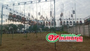 Suasana Ladini di lapangan Soreang, Kab. Bandung. copy