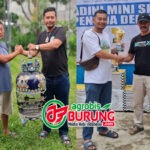 3 Tahun Terjun di Perkutut, Menor BF Depok Sudah Berhasil Cetak Burung Lomba