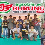 Moderator (SH) Andalan Sandi-Musa Bintang Caruban Raih Runner-Up PB Piala Paku Alam Yogya, Siap “Pulang Kampung” & Bersaing di LPI #4 HUT P3SI Cup Cirebon