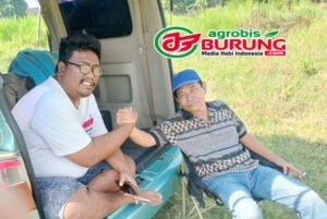 nugroho copy
