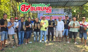 pb copy
