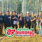 Gelaran Lintas Blok Yang Selalu Ditunggu Gelarannya, Jawara Surakarta, Eldorado, Star Boy & Karbala Raih Podium Terbaik Di LP. Jateng Gayeng “Batik Cup 2026” Pekalongan