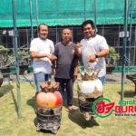 Opick Narenda Jogja Boyong Burung Jawara Ciamik dari H Cholil HDL Gresik, Dealnya Istimewa