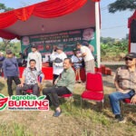 Gelarannya Seru & Meriah, Inilah Data Juara #5 LPI KLH CUP 2026 Di Bekasi (Kelas Piyik)