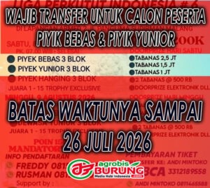 943033a2-c1cf-48eb-8e9c-1376341d3fe6 copy