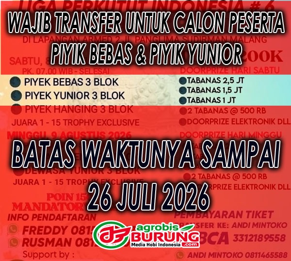 943033a2-c1cf-48eb-8e9c-1376341d3fe6 copy