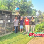 Hari Aprianto HAP Pasuruan Semakin Fokus Di Hobi Perkutut, Breeding Hasilnya Sukses & Lomba Andalkan Produk Sendiri