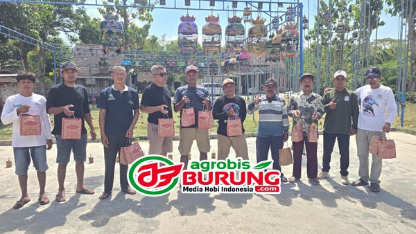Juara kelas Hanging copy