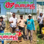 Ladini Spesial Soreang “Bintang Agung Cup” – Pra LPJB #6 Garut: Veda Ega Melesat, Komando Memimpin & Dewi Amor Moncer di Kelasnya