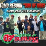 Prima Rasa Team Bandung Double Winners di LPI #5 KLH Cup Bekasi: Limousine Buktikan Kualitasnya, Saritomo Reborn Titisan Jawara Generasi Penerus Sang Maskot Ruby Star
