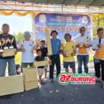Duet Jawara (Tsar Bomba & Keramat) Milik Samuel BLT Mataram Berkuasa di Dua kelas & Jawara Bintang Tampil Optimal di Liga Perkutut Lombok 2026 di Mataram