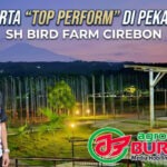 Jawara Surakarta “Top Perform” & Bungkam Para Pesaingnya di LP. Jateng Gayeng #6 Pekalongan, Trah Jawara Legendaris-Superman Andalan Terkini SH BF Cirebon