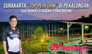 Suhartono Hakim (SH BF) Cirebon.