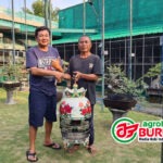 Lagi Produk Kandang Unggulan Hamid Jupiter BF Surabaya, K-Himalaya Di Take Over H Cholil HDL, Dealnya Tetap Istimewa