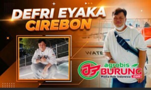 defri