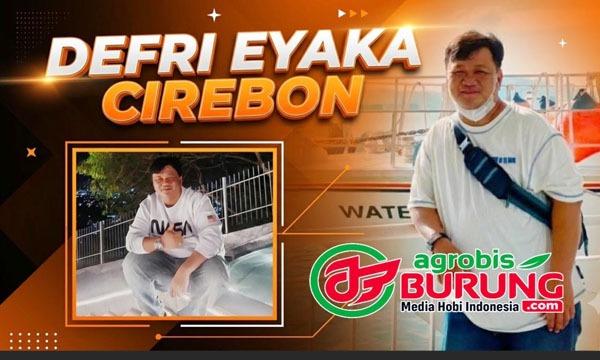 defri