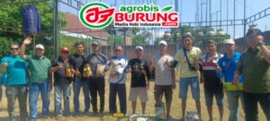 juara 11