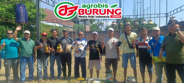juara 11