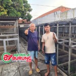 Berkat Suntikan Trah Mutiara Bf, Only BF Pasuruan Sukses Mencetak Jawara Ciamik & Jawara Gendis Boys Moncer di Ladini Pengda Jombang