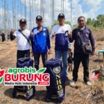 Jawara Adi Putro Milik Heru NHD Sumenep Tampil Istimewa di Podium Pertama LPM #5 Sampang Madura