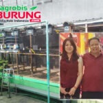 WAT BF Tasikmalaya Memang Beda, Jadi *Magnet” Bagi Semua Lapisan Kungmania, Transaksi Lintas Benua dari Eropa, Amerika Hingga ke Laut China