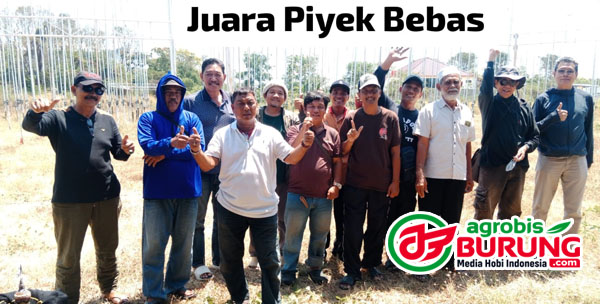 576a15c4-b282-4dbb-bb1d-75cf20a27911 copy