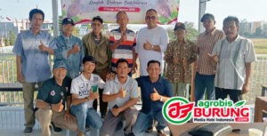 7b529d11-3126-42c6-81d1-d74cc43594ff copy