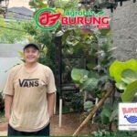 Sehari 3 Kali Transaksi, Kungmania Pemula Ben Jakarta Borong 7 Ekor Anakan dari Kandang Favorit WAT BF Tasikmalaya