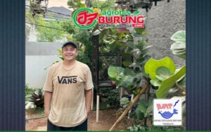 Ben Jakarta merasa yakin terhadap pilihannya memborong 7 ekor anakan WAT BF.