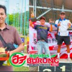 Singo Barong & Hanoman Eksis di Persaingan Papan Atas, Bukti Kualitas Produk Bintang Agung BF Bandung Merata & Bermental Juara