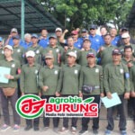 Aksi Seru Di Laga Mandatory Fight “Perdana”, Jawara Brewok & Jokotole Menyabet Podium Teratas Di LPI #6 Singosari Cup 2026 Malang