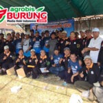 LPM Jadi Salah Satu Barometer Lomba Tersolid Di Indonesia, Jawara Arung Binang “The Best”, Top Up Domisol Raih 4 Warna, Adi Putro & Bencana Kuasai Podium Pertama di LPM #6 BangkalanB