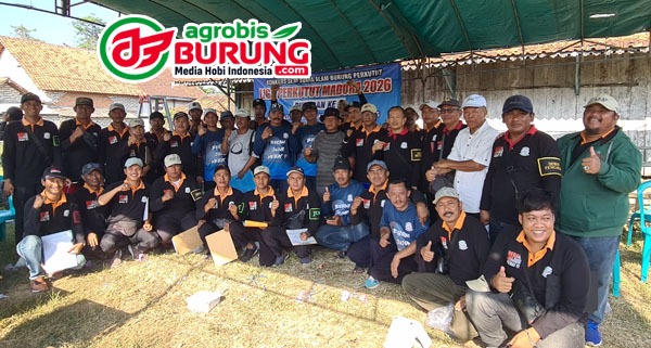LPM 6