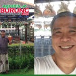 Lagi, Setelah Jebol K-WAT Revolusi, Nunu Pesona Depok Jebol Indukan Jantan K-WAT Mega Pusaka (MLT N-999.D) dengan Mahar Fantastis