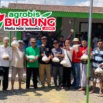 Jawara Ronaldo & Venom Melesat Di Puncak Kejuaraan Gelaran Mustika Alam Cup 2026 di Bondowoso
