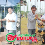 Tampil Mengesankan di LP. Batavia #6 Serang, Paris Van Java (Rocky) Langsung Ditransfer Prima Rasa Team Bandung dengan Mahar Fantastis