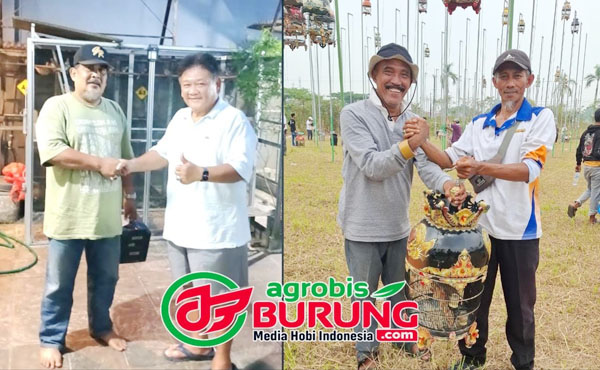 Rocky (foto kiri), Transaksi Paris Van Java di Serang, Pak Raden & Roy Prima Rasa.