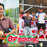 Singo Barong & Hanoman Eksis di Persaingan Papan Atas, Bukti Kualitas Produk Bintang Agung BF Bandung Merata & Bermental Juara
