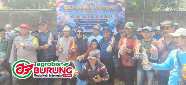 c1674f48-dd2e-4416-88ee-b29755351a40 copy