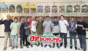 c52ad039-ae39-4d2e-8db7-5cd66627dced copy