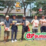 Jawara Madinah, Primadona & Putra Papua Tampil Istimewa di Podium Pertama Liga Bumi Roban Bojonegoro